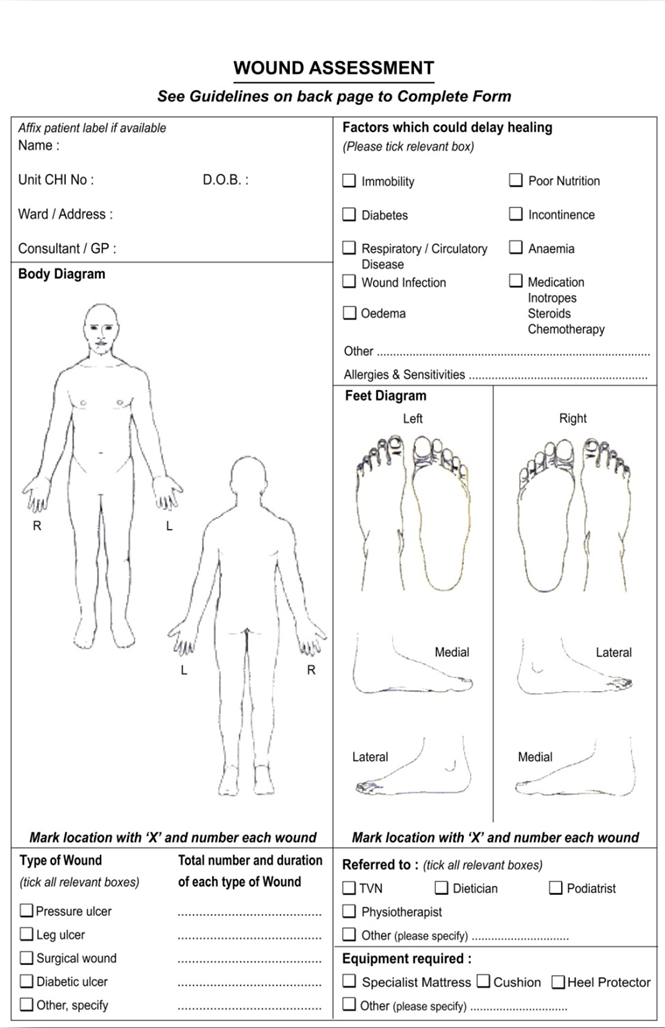 Wound Assessment Tool Chart